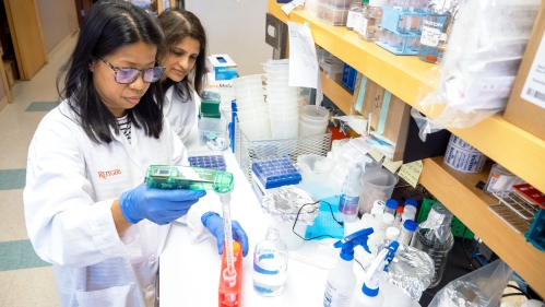 Researchers wearing white coats use pipettes to handle specimens in a lab 