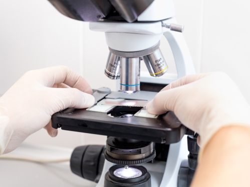 A scientist adjusts a slide on a microscope
